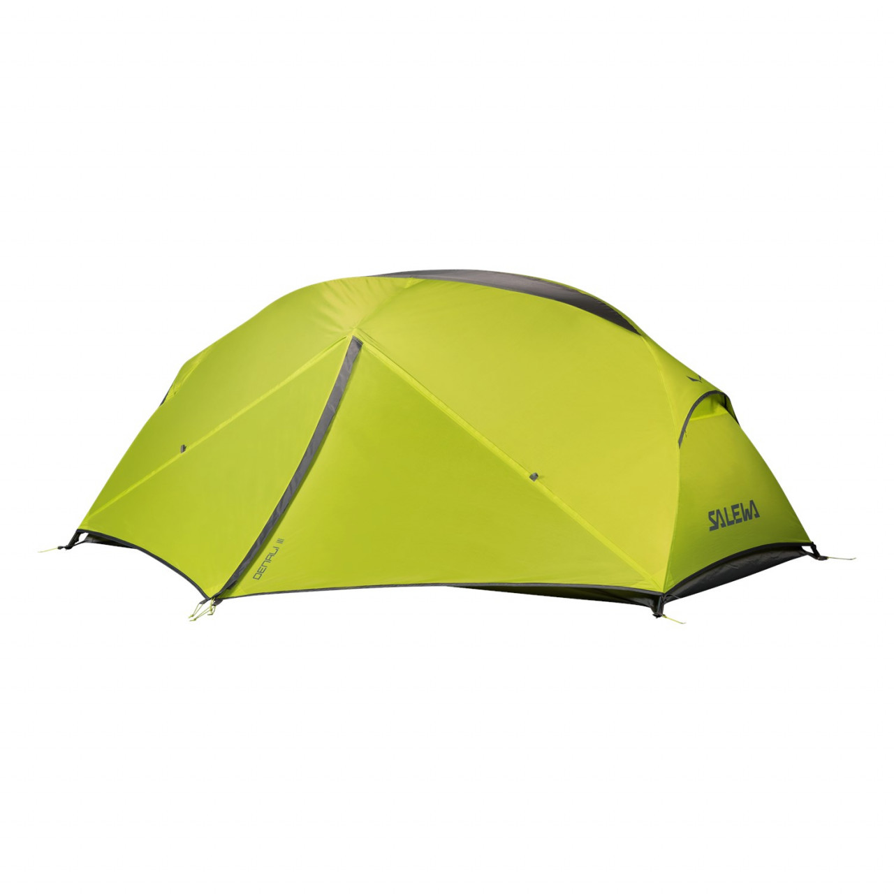 Salewa Denali III Tents Green/Grey VBX-140897